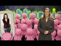Zobacz więcej na PLOTKARNIA.wp.tv Za stylizacje celebrytek odpowiada często sztab ludzi. Mimo to gwiazdom przydarzają się kompromitujące wpadki