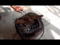 Fresh Fish Market and Sun Dried Barbecued Fish; Pattaya, Thailand