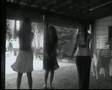 Estupido Cupido - celly