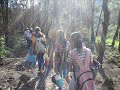 ICANS IN ACTION SAVE OUR FORESTS