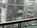 Marousi snow 20080217