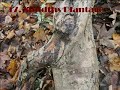 17.Smidths Plantage