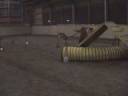 Uschi und Blizz, Training 23.11.08 Halle