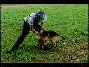 Clearing the Way Part 3 of 3