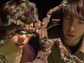 Treeology