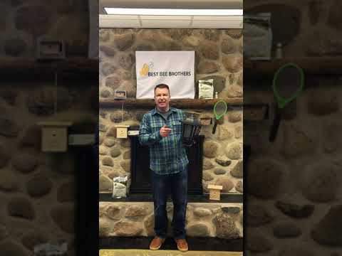 image preview of video showcasing Bug Zap Trap