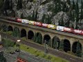 HOYER-Containerzug auf Viadukt