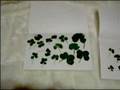 4-leaf clover