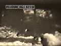 wolfhound vs two wolfs - fight to death