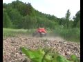 videos de Monster beetle bash
