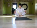 Ver Video