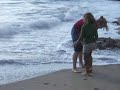 A Day at the Beach #1