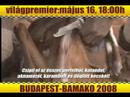 Budapest-Bamako 2008 movie premier trailer