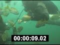 Sidemount air share 2.5 seconds
