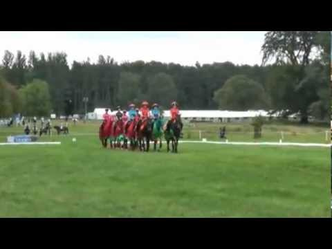 horses grand national horses grand national