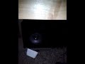 Click here to watch this video Muller Mouse