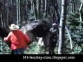Angry Horse Kicks Pity Guy in the Face Angry Horse Kicks Pity Guy in the Face