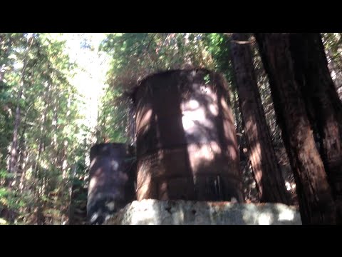 Easy hike in Limekiln State Park Big Sur California