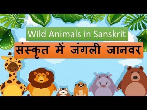 Watch “संस्कृत में जंगली जानवर (Wild Animals in Sanskrit)” on YouTube – Orchids eLearning Watch “संस्कृत में जंगली जानवर (Wild Animals in Sanskrit)” on YouTube – Orchids eLearning