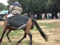 fete du pain