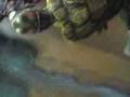 Turtle-Swim-Jones