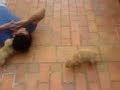 carlo gadia e nene dogs
