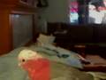 videos de Just Rosie
