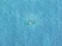 ?MikuMikuDance?Tripping Sea ?????????? ?MikuMikuDance?Tripping Sea ??????????