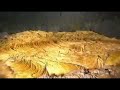 Kazumura Cave - Lava Tube - Hawaii