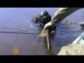 Permafrost unearths mammoth remains in Siberia - 19 Oct 08