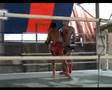 Training at Tor Chalermchai Gym