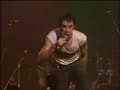 Sham 69 - If the kids are united