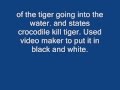 Pablobatistaner exposed. His crocodile tiger vid is fake.