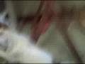 videos de graham 9-20