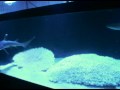 我が家