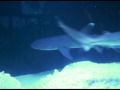 我が家