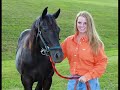 barrel racing mandys horses video