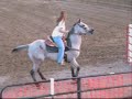 barrel racing mandys horses video