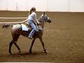 barrel racing mandys horses video