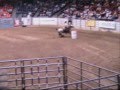 Barrel Racing Mandy's Horses Video