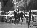 toby you are a great champion