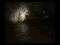 Lluvia de peces