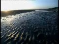 Omaha Beach, D-Day, 6 June 1944 - YouTube