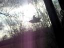 videos de woodpecker bird eating michigan