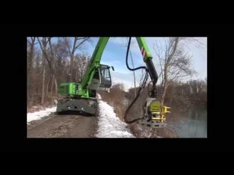 how to harvest timber in wood