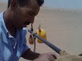 Start Water Pump in Sahara Desert