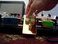 Antelope LoveLight Goldbar LTD