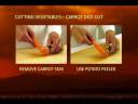 Cut carrot vegetable into slices and dices - Chinese style Cut carrot vegetable into slices and dices - Chinese style