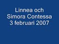 Linnea å Simora Contessa