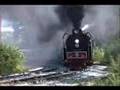 QJ Steam Locomotives At Bureau Jct., Illinois